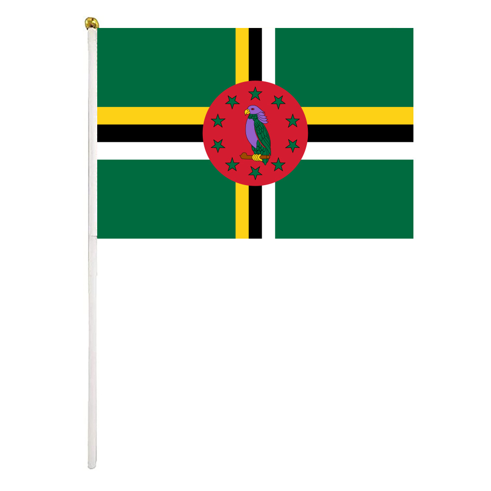 Custom Mini Flags For Birthday Parties